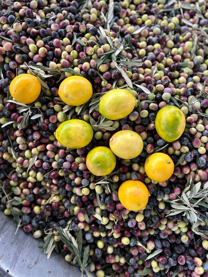 Limon Çeşnili Natürel Sızma Soğuk Sıkım Zeytinyağı 250ml
