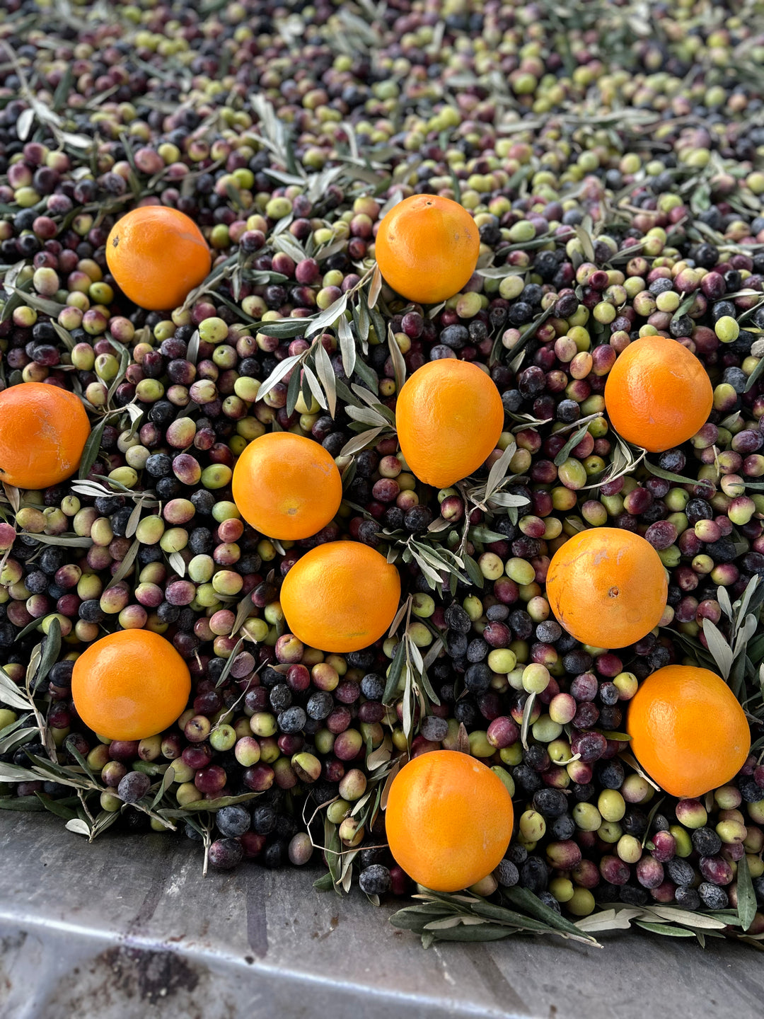 Portakal Çeşnili Natürel Sızma Soğuk Sıkım Zeytinyağı 250ml