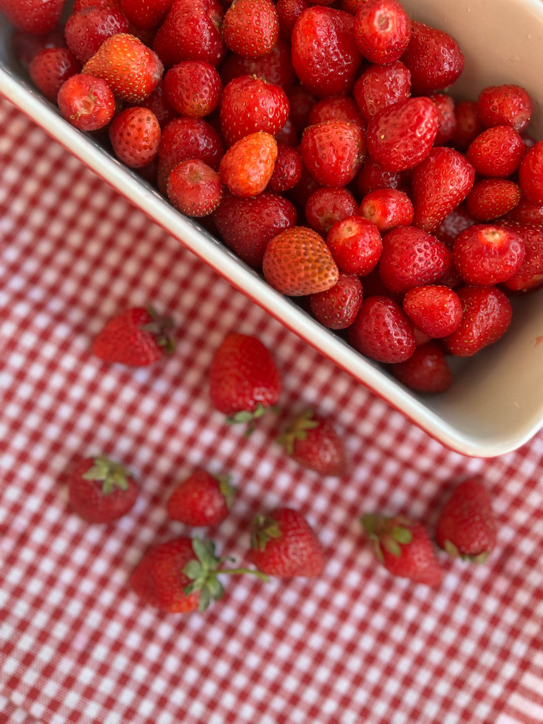 Handgemachte Erdbeermarmelade in Oliv 330cc