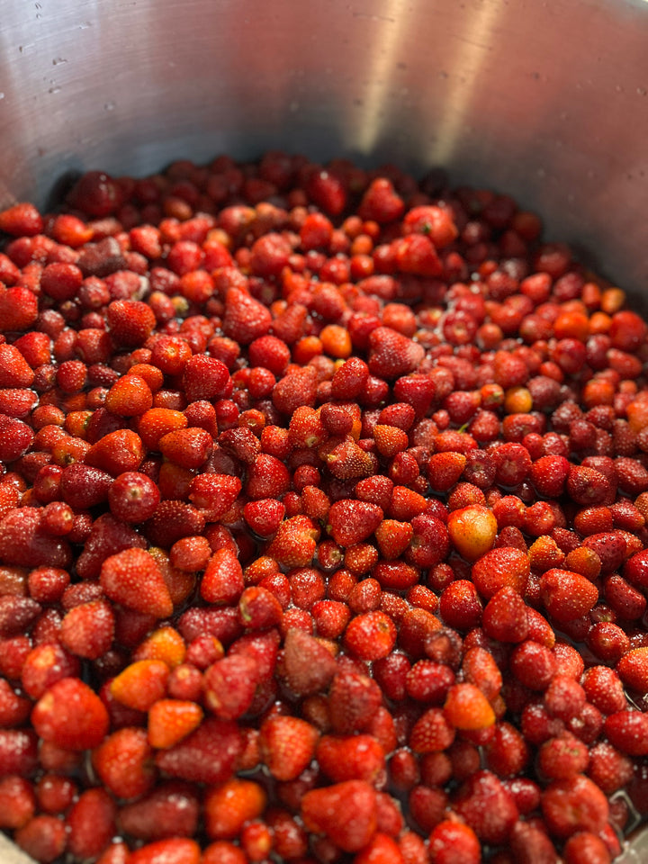 Handgemachte Erdbeermarmelade in Oliv 330cc