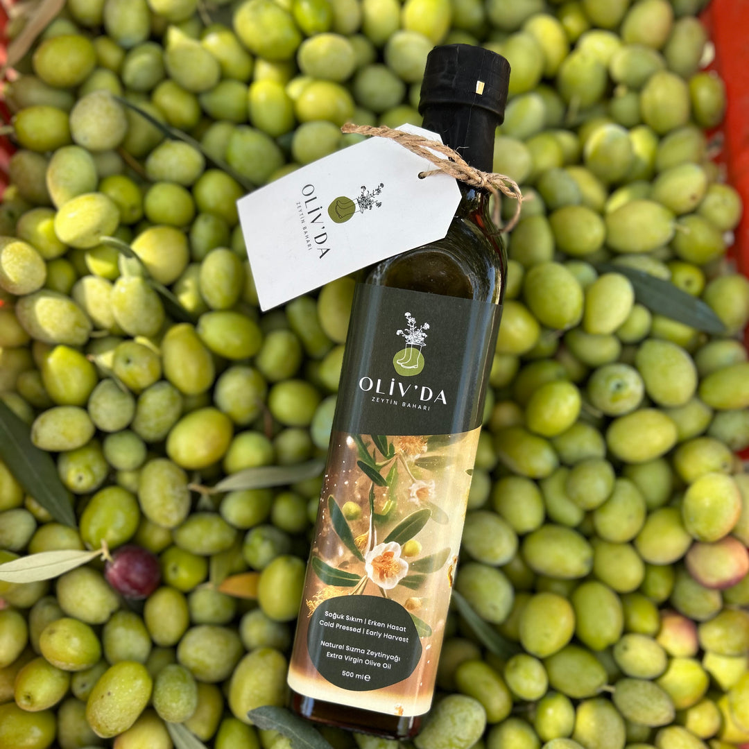 2025-2026 İlk Hasat Erken Hasat Soğuk Sıkım Natürel Sızma Zeytinyağı 500ml