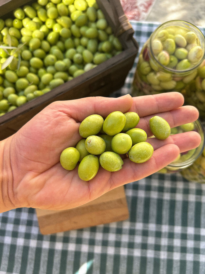 Yeşil Kırma Zeytin 650GR