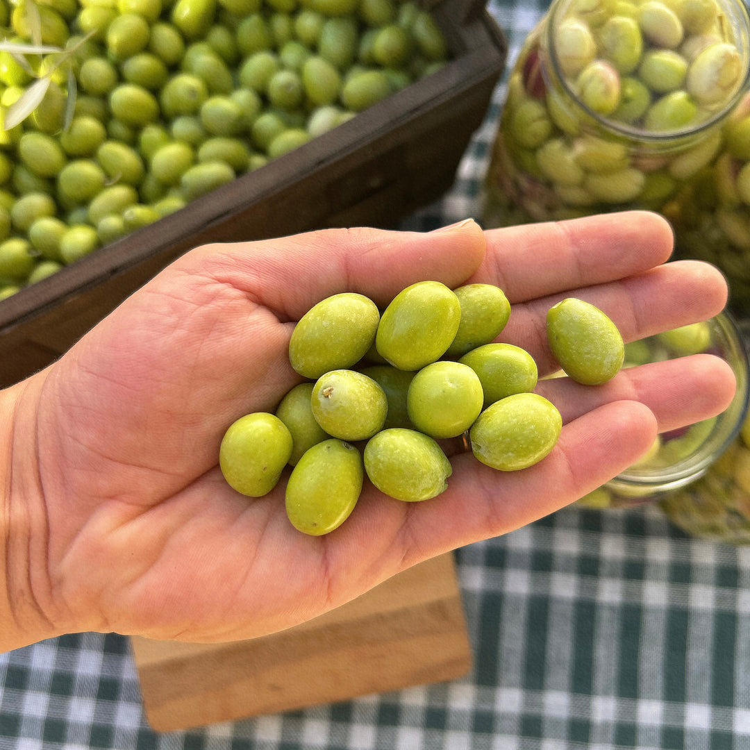 Yeşil Kırma Zeytin 1000cc