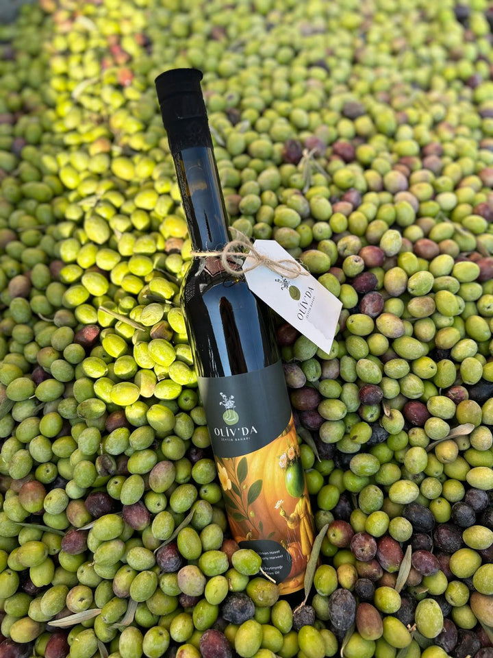 2025-2026 İlk Hasat Erken Hasat Soğuk Sıkım Natürel Sızma Zeytinyağı 500ml