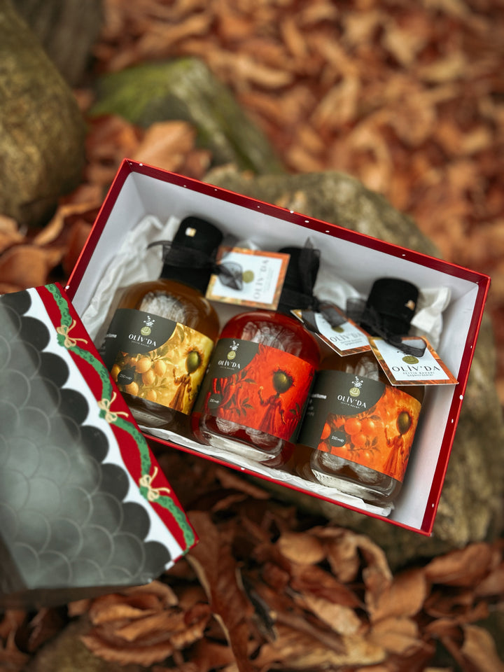 Yılbaşı Evi 3'lü Çeşnili Zeytinyağı Hediye Seti
