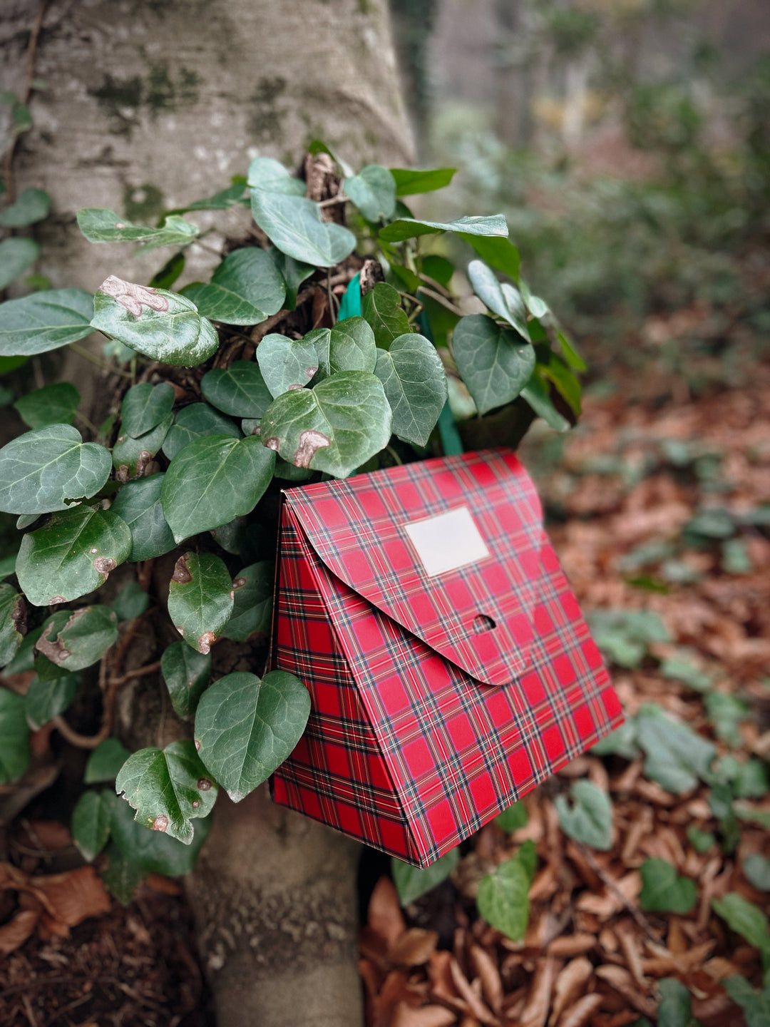 Ekose Çanta 3'lü Çeşnili Lezzet Seti