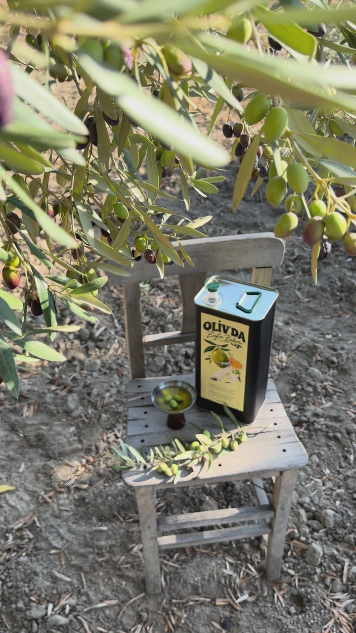 Kaltgepresstes Olivenöl aus früher Ernte, 5 l
