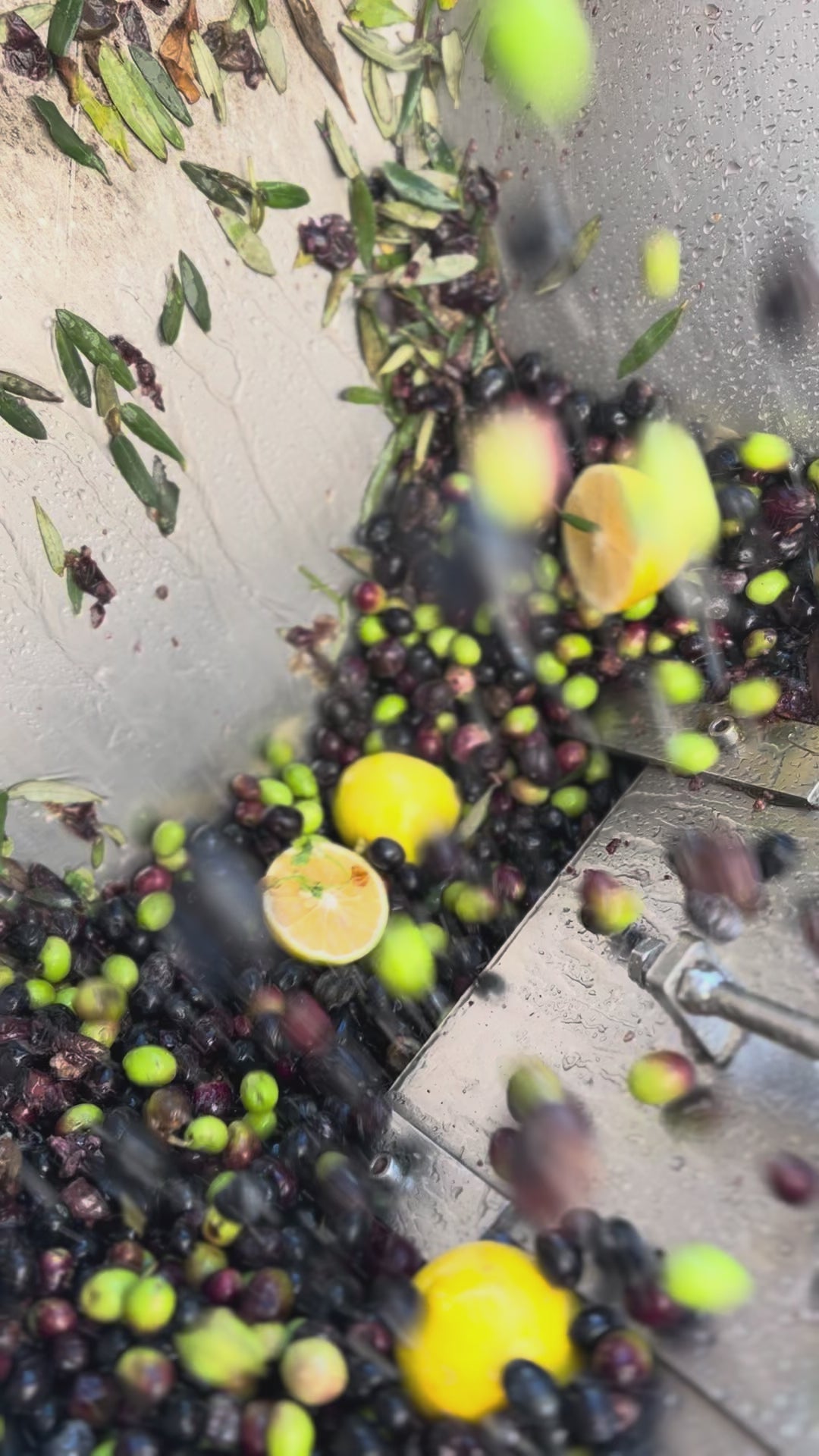 Limon Çeşnili Natürel Sızma Soğuk Sıkım Zeytinyağı 250ml