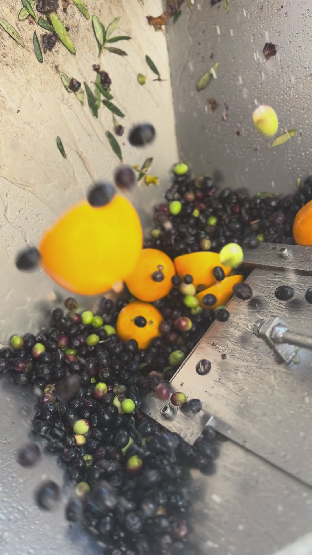 Portakal Çeşnili Natürel Sızma Soğuk Sıkım Zeytinyağı 250ml